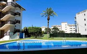 Vibrant Central Albir Pad